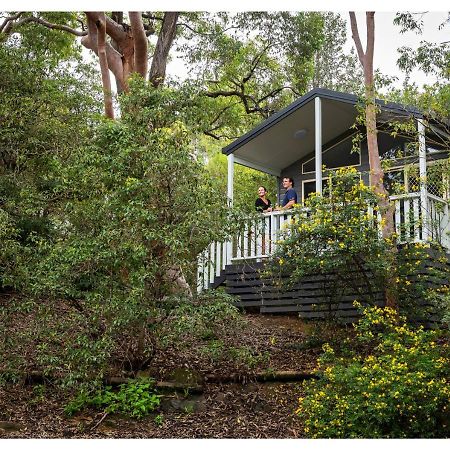 סידני Discovery Parks - Lane Cove מראה חיצוני תמונה