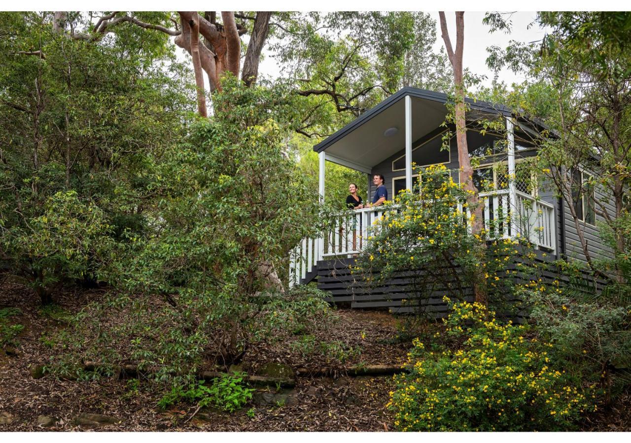 סידני Discovery Parks - Lane Cove מראה חיצוני תמונה