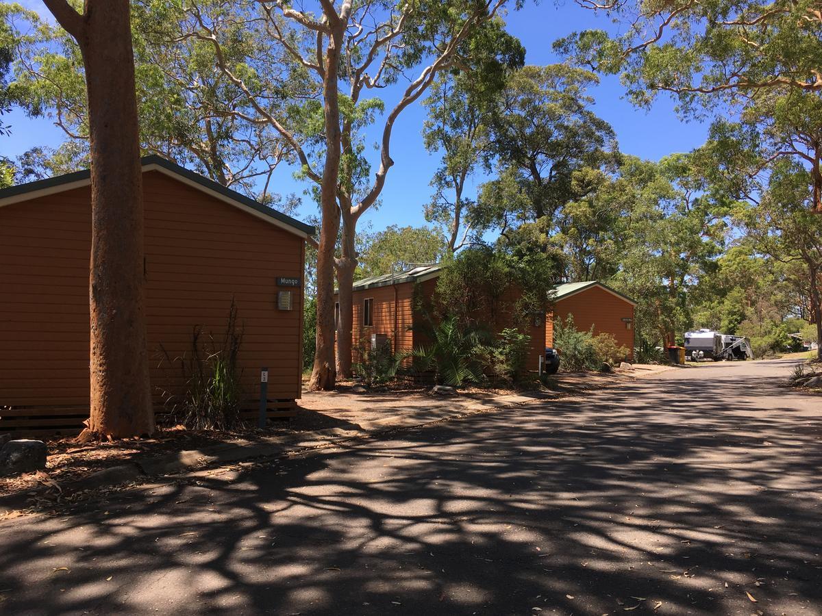 סידני Discovery Parks - Lane Cove מראה חיצוני תמונה