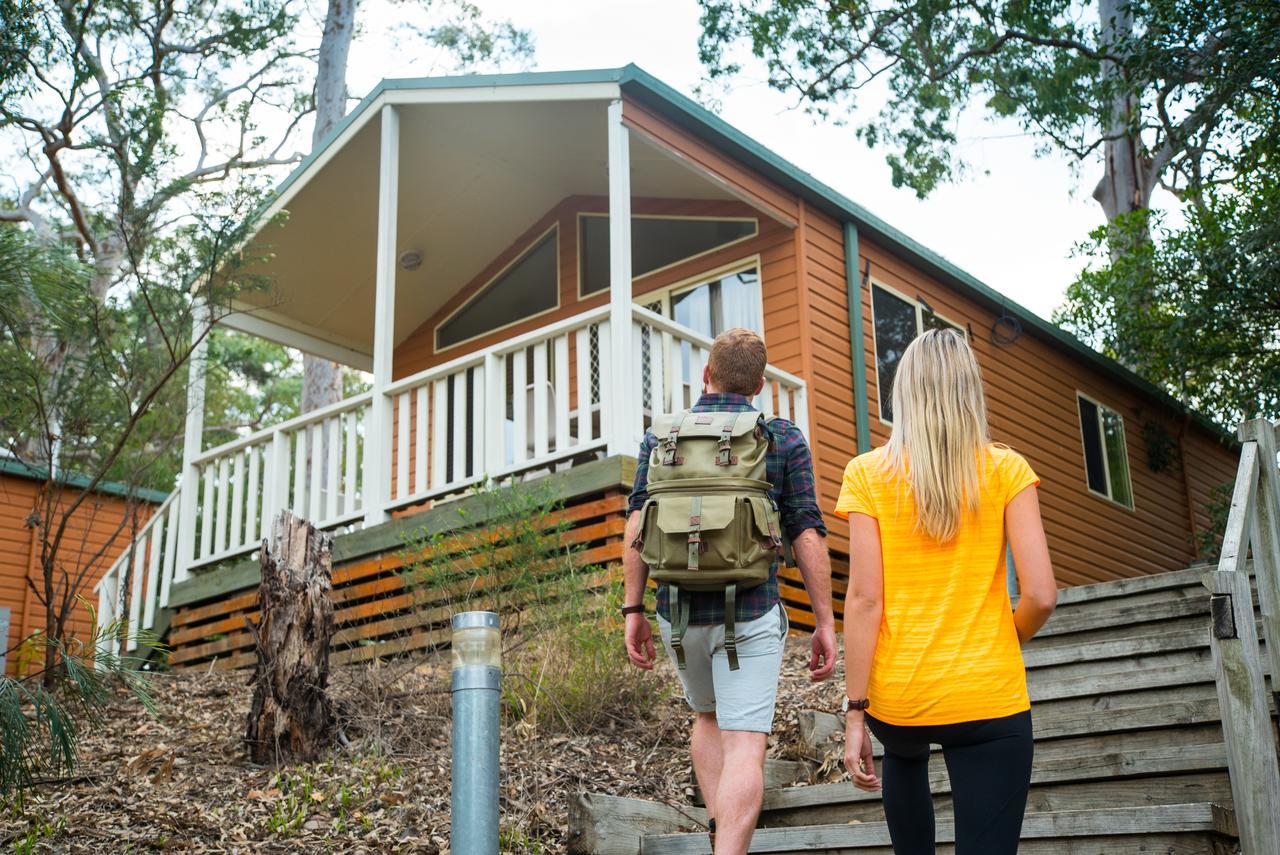 סידני Discovery Parks - Lane Cove מראה חיצוני תמונה
