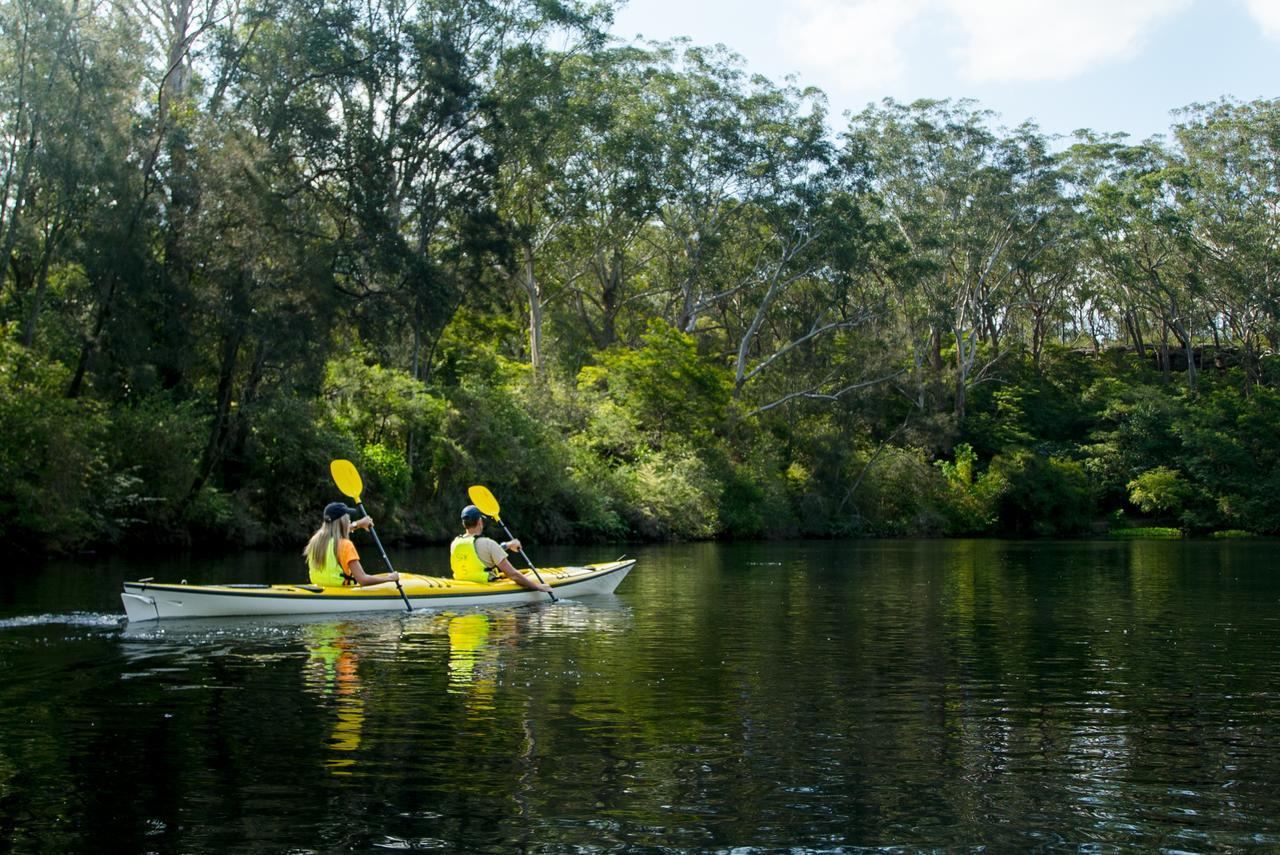 סידני Discovery Parks - Lane Cove מראה חיצוני תמונה