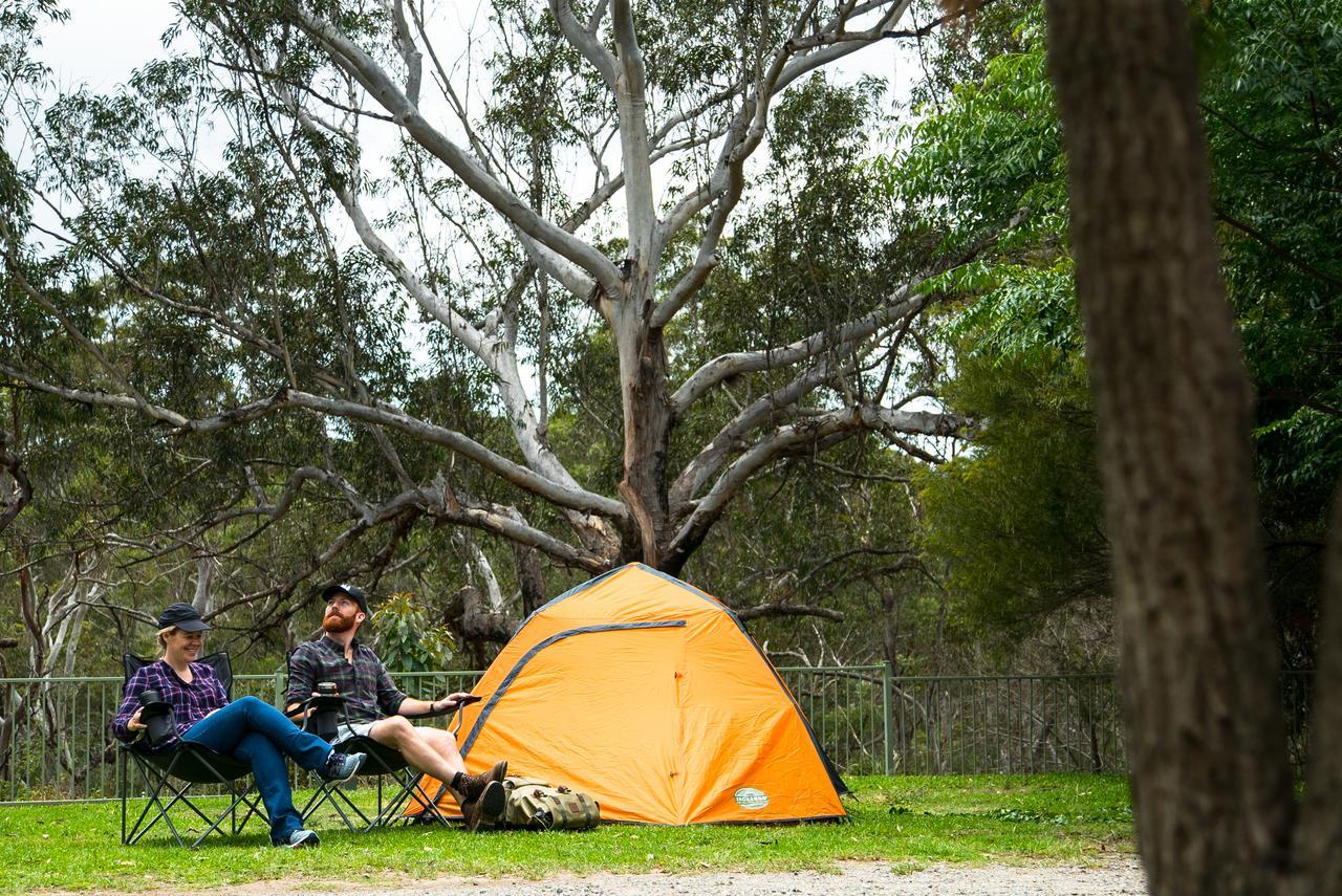 סידני Discovery Parks - Lane Cove מראה חיצוני תמונה