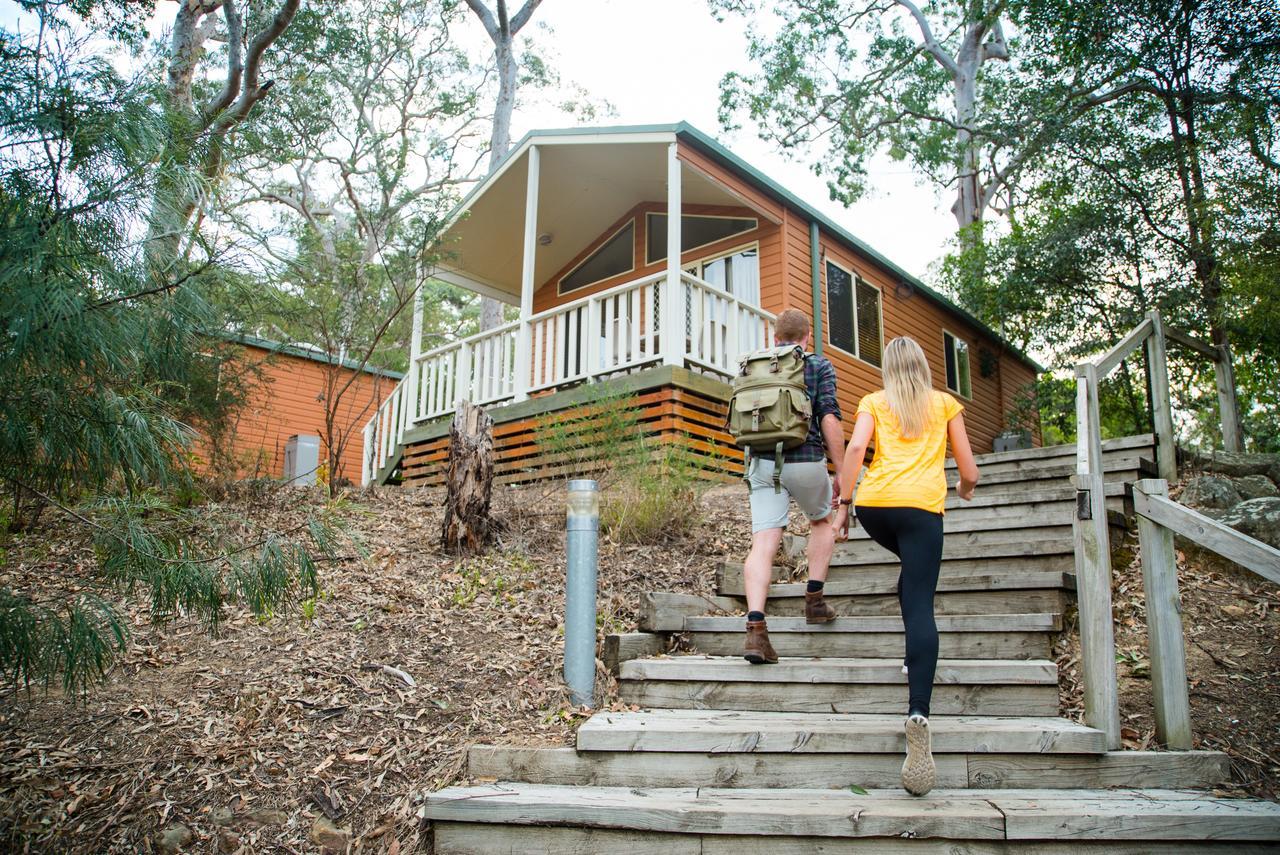 סידני Discovery Parks - Lane Cove מראה חיצוני תמונה