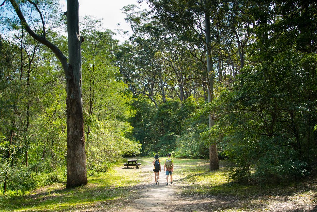 סידני Discovery Parks - Lane Cove מראה חיצוני תמונה