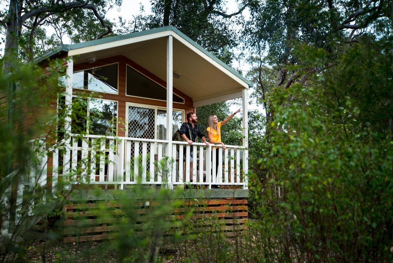 סידני Discovery Parks - Lane Cove מראה חיצוני תמונה